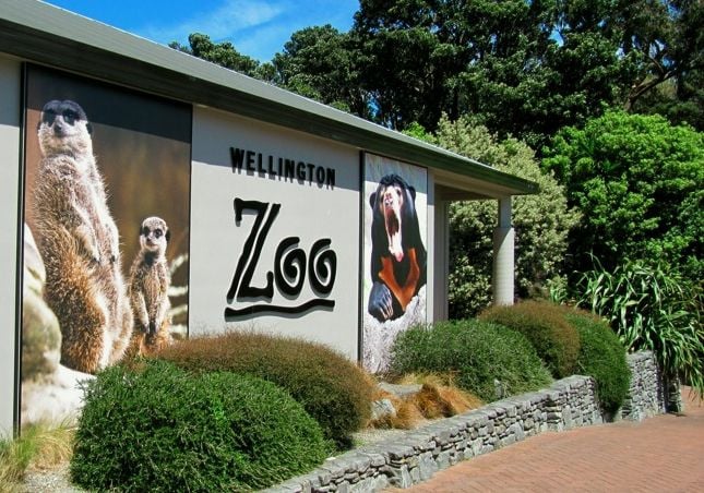 exploring-wellington-zoo-67817.jpg